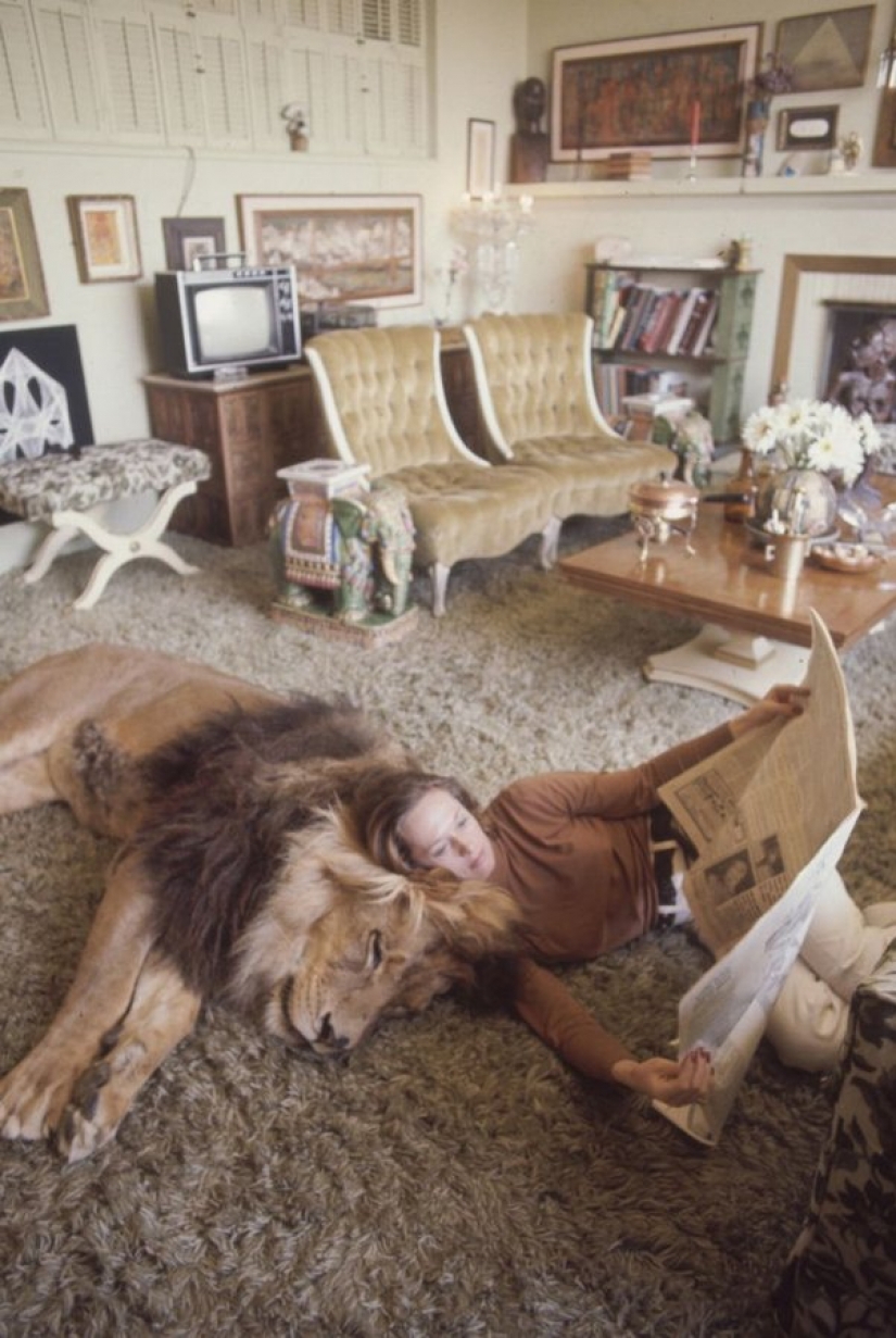 Incredible photos from the ' 70s: Melanie Griffith and lion Neil Incredible photos from the ' 70s: Melanie Griffith and lion Neil