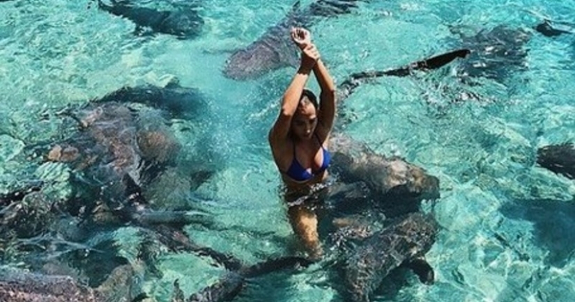 Instagram-the model climbed in the pool with the sharks for the sake of likes and almost lost my hand