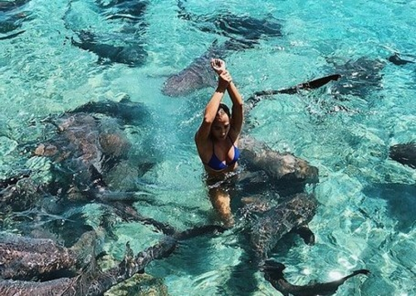 Instagram-the model climbed in the pool with the sharks for the sake of likes and almost lost my hand