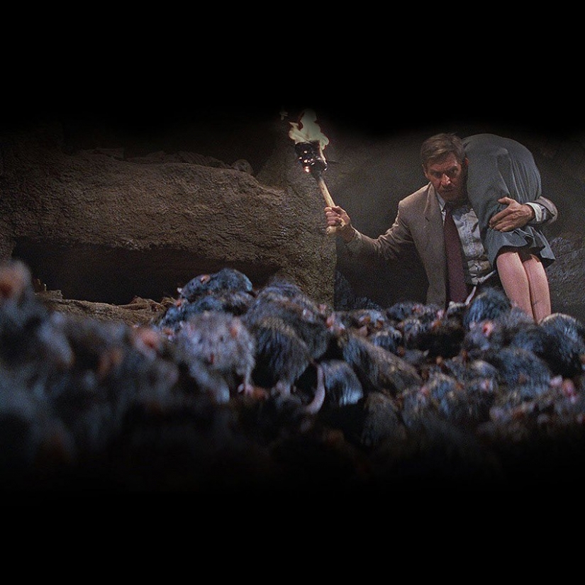 Interesting facts about the movies about Indiana Jones Interesting facts about the movies about Indiana Jones