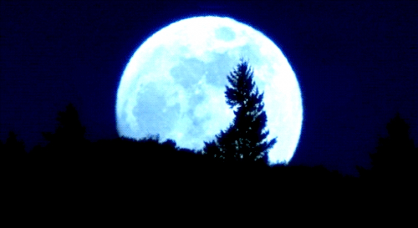 Interesting facts about the movies about Indiana Jones Interesting facts about the movies about Indiana Jones