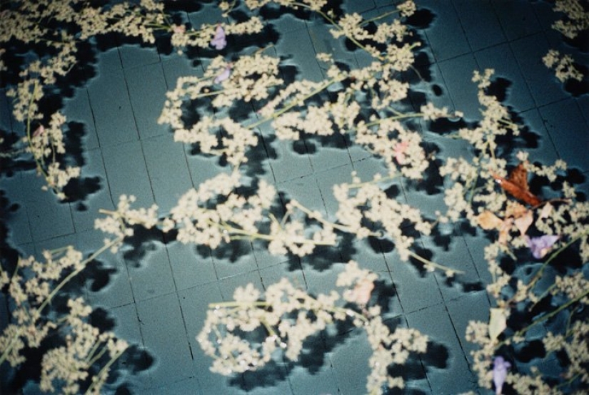 Intimate previously taken Lina Sanius Intimate previously taken Lina Sanius