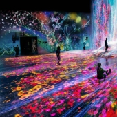 Japan opened the world's first interactive Museum of digital art