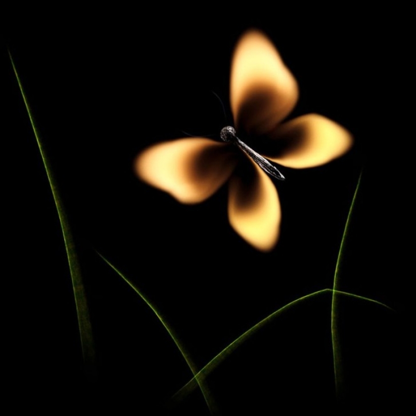 Jugando con fósforos: un trabajo mágico de Stanislav Aristov