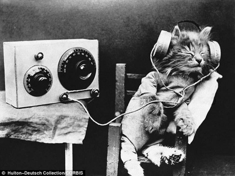 Kote "pre-Internet" period Kote "pre-Internet" period