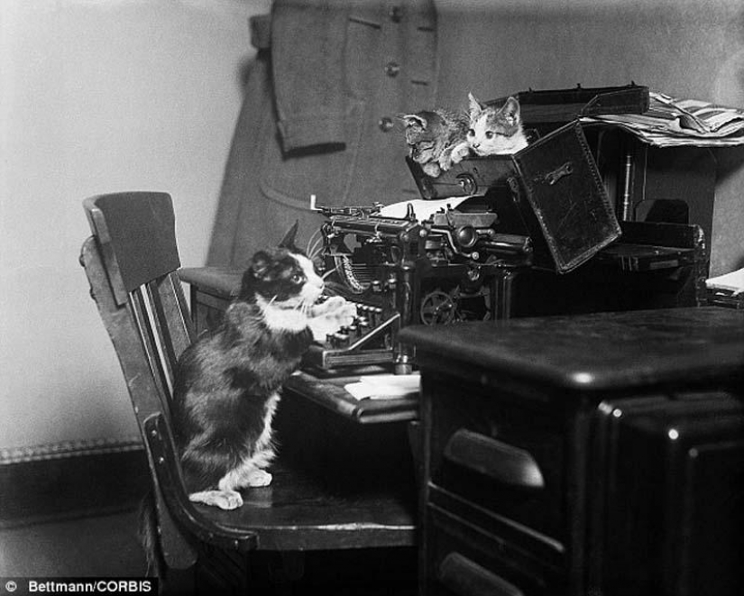 Kote "pre-Internet" period Kote "pre-Internet" period