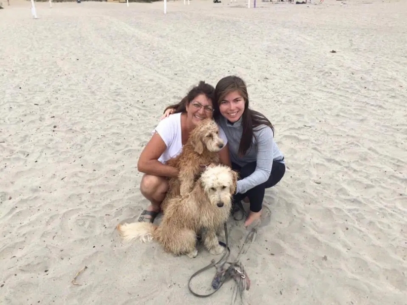 La bella durmiente: American duerme durante semanas e incluso meses para superar la repetición La bella durmiente: American duerme durante semanas e incluso meses para superar la repetición