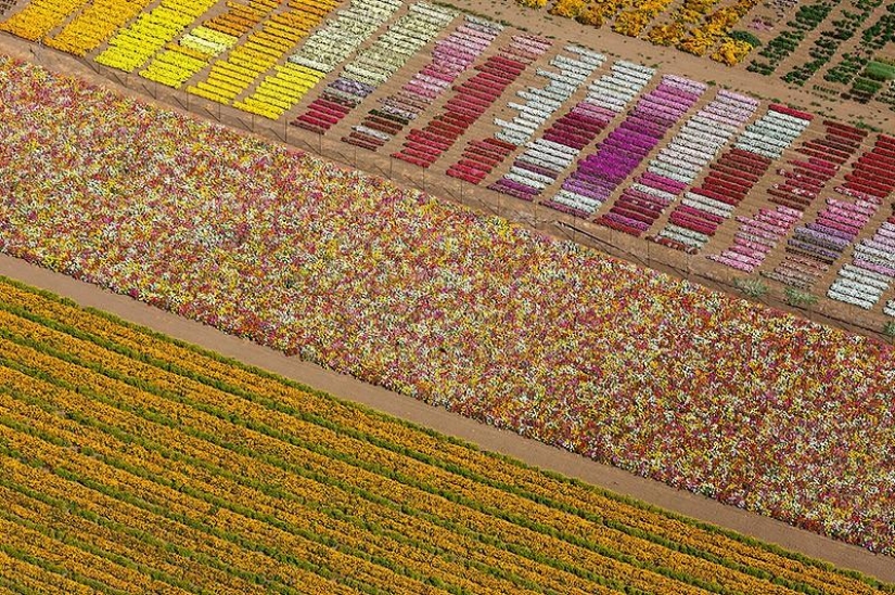 La belleza de nuestro mundo La belleza de nuestro mundo