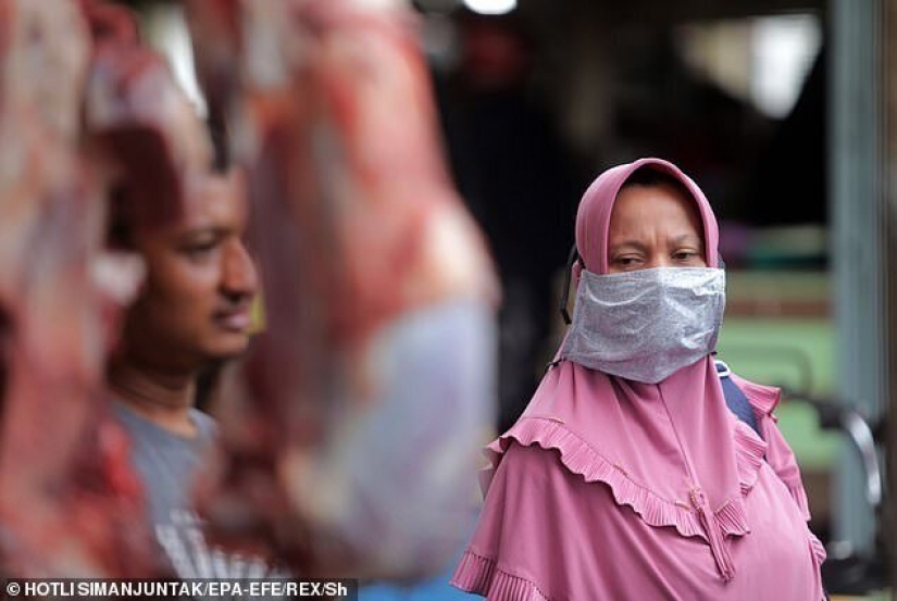 La carne de caza: en Indonesia han encontrado un mercado con murciélagos y ratas La carne de caza: en Indonesia han encontrado un mercado con murciélagos y ratas