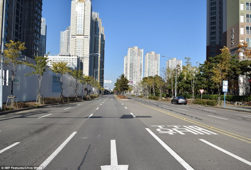 La ciudad inteligente del futuro en la que no vive nadie: ¿cómo cayó el más ambicioso proyecto de construcción en Asia
