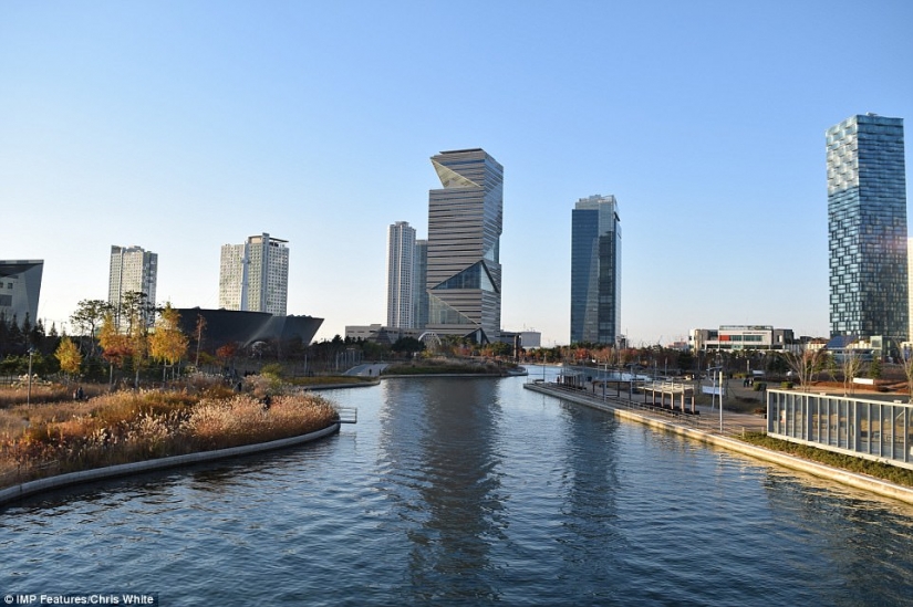 La ciudad inteligente del futuro en la que no vive nadie: ¿cómo cayó el más ambicioso proyecto de construcción en Asia
