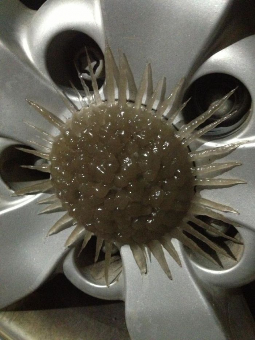 La escarcha se convierte el coche en el arte