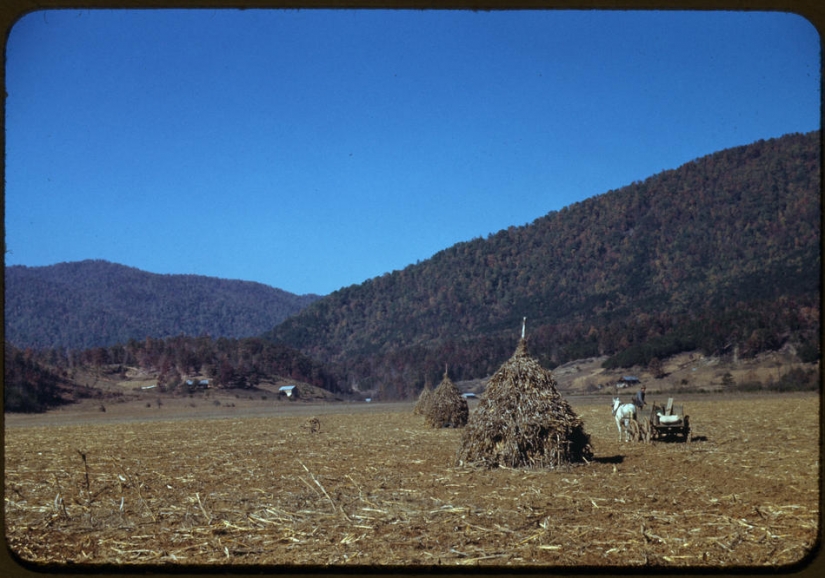 La gran depresión en los Estados unidos en color
