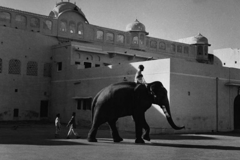 La historia de los libros de texto de Marc Ribot