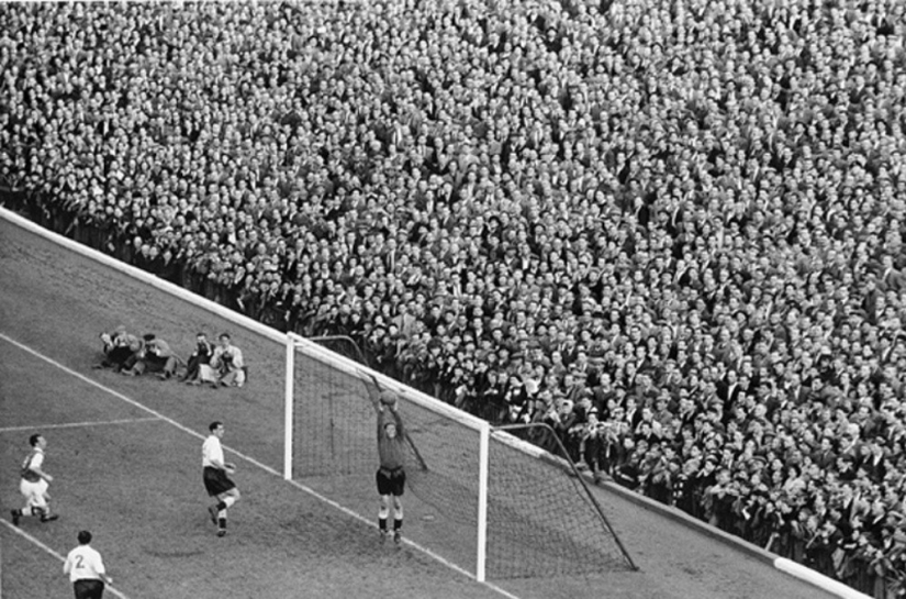 La historia de los libros de texto de Marc Ribot