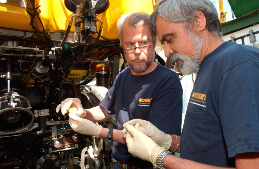 La mayor hordas encontrados recientemente La mayor hordas encontrados recientemente