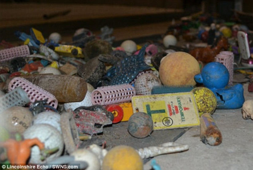 La mayoría de las cosas inesperadas que accidentalmente y no del todo tirado por el retrete