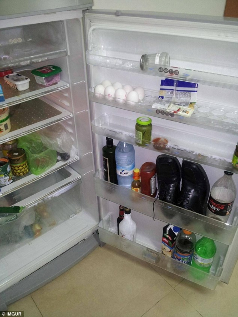 La mayoría de los idiotas borrachos cosas de acuerdo a los usuarios de Reddit