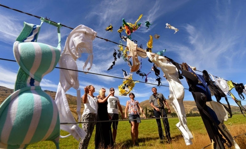 La más inusual de la cerca en el mundo La más inusual de la cerca en el mundo