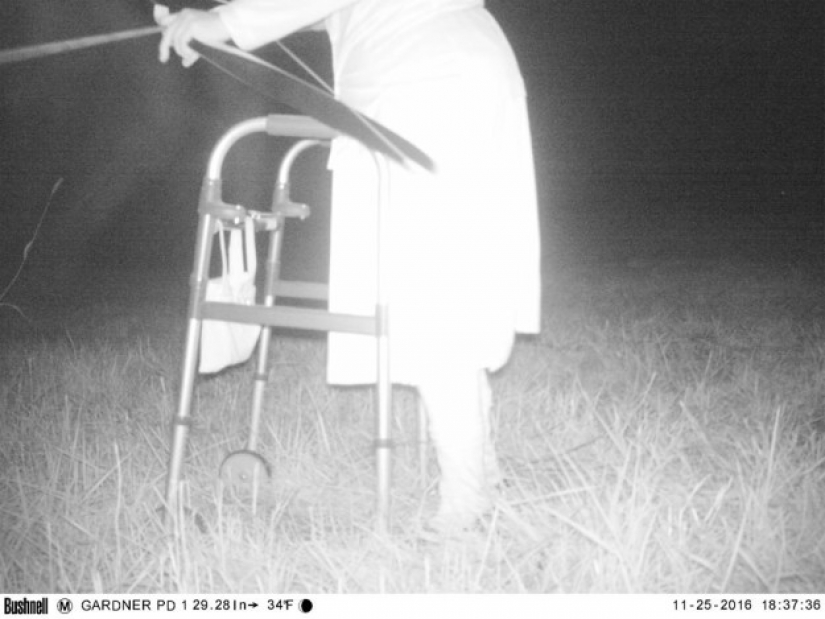 La policía encontró a la cámara de la visión nocturna para encontrar el Cougar, pero la situación se salió de control