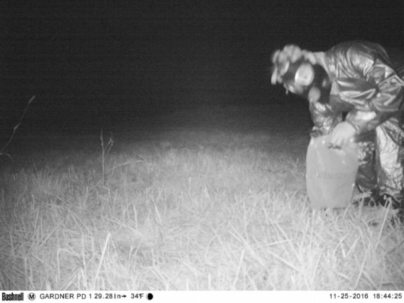 La policía encontró a la cámara de la visión nocturna para encontrar el Cougar, pero la situación se salió de control