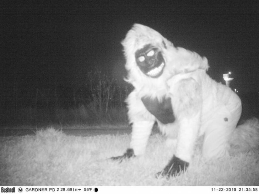 La policía encontró a la cámara de la visión nocturna para encontrar el Cougar, pero la situación se salió de control