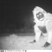 La policía encontró a la cámara de la visión nocturna para encontrar el Cougar, pero la situación se salió de control La policía encontró a la cámara de la visión nocturna para encontrar el Cougar, pero la situación se salió de control