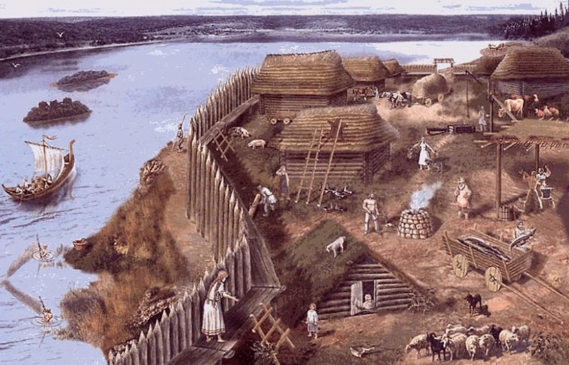 La quinua, el oso, el esturión y otras delicias de el viejo Eslavo de la cocina La quinua, el oso, el esturión y otras delicias de el viejo Eslavo de la cocina