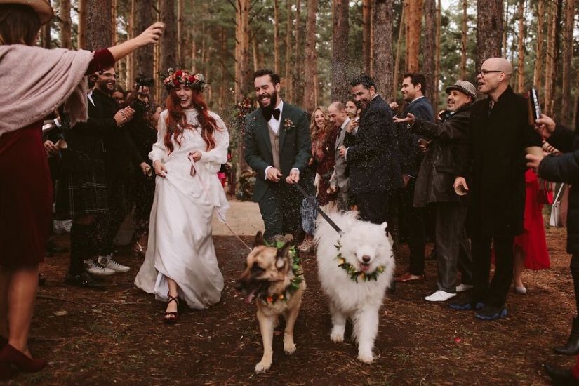Las 15 mejores fotos de la boda de 2020 con la competencia Junebug Bodas Las 15 mejores fotos de la boda de 2020 con la competencia Junebug Bodas