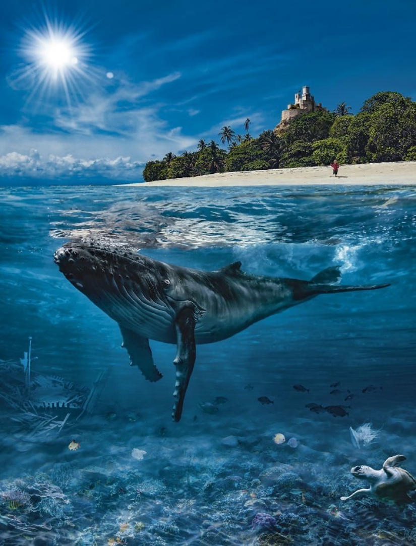 Las aventuras de bebé en el estilo de piratas del Caribe Las aventuras de bebé en el estilo de piratas del Caribe