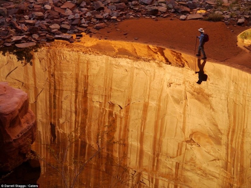 Las sorpresas de la naturaleza: estos realista fotos que desea mirar dos veces Las sorpresas de la naturaleza: estos realista fotos que desea mirar dos veces