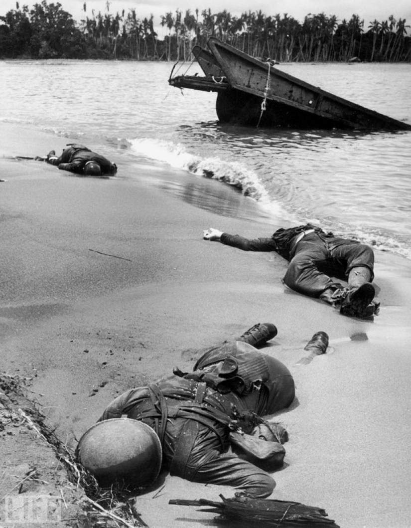 Legendary photo magazine LIFE