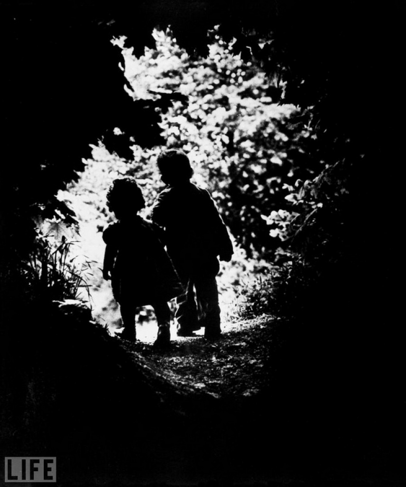 Legendary photo magazine LIFE