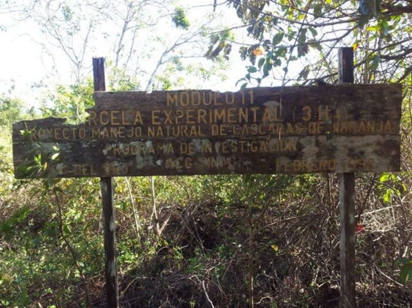 Like a bunch of orange peels changed the ecosystem in Central America
