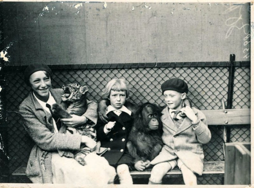 Like beasts of the nineteenth century people were friends