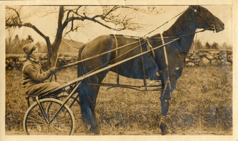 Like beasts of the nineteenth century people were friends