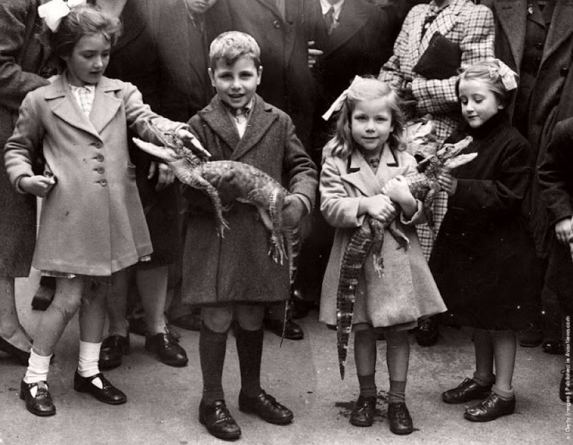 Like beasts of the nineteenth century people were friends