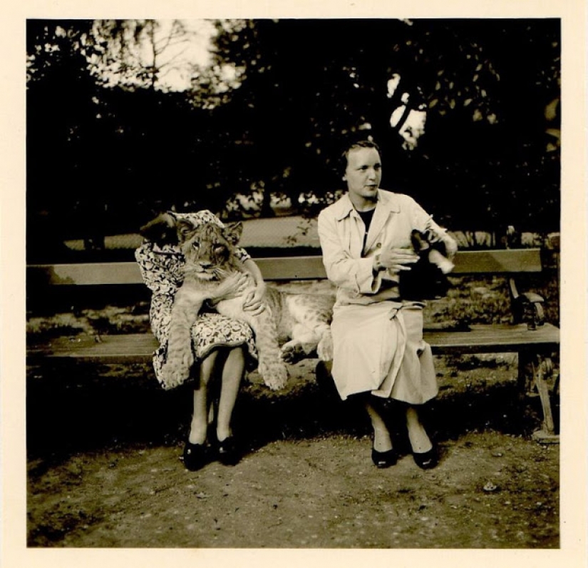 Like beasts of the nineteenth century people were friends