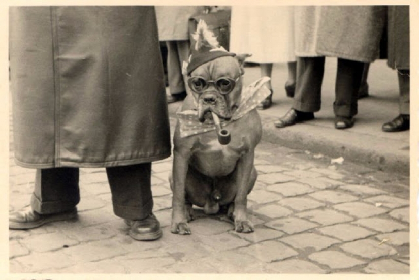 Like beasts of the nineteenth century people were friends