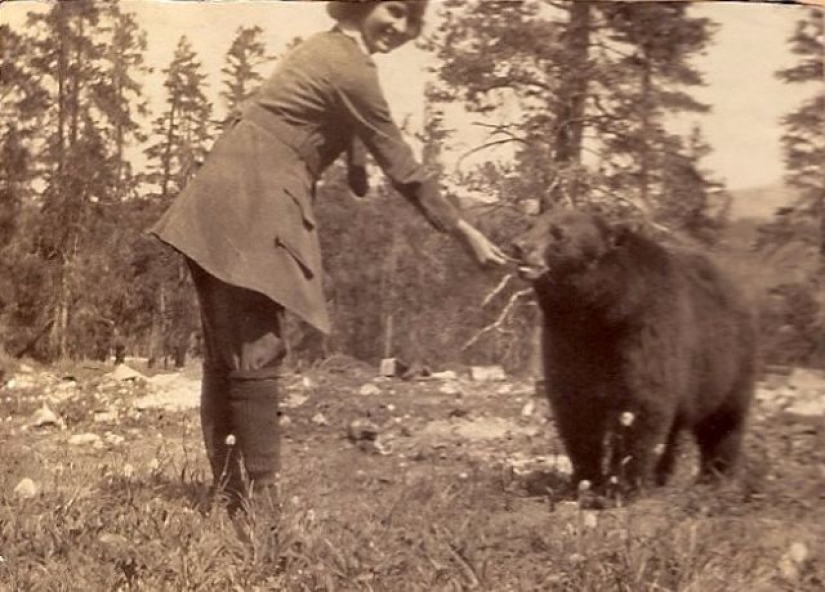 Like beasts of the nineteenth century people were friends