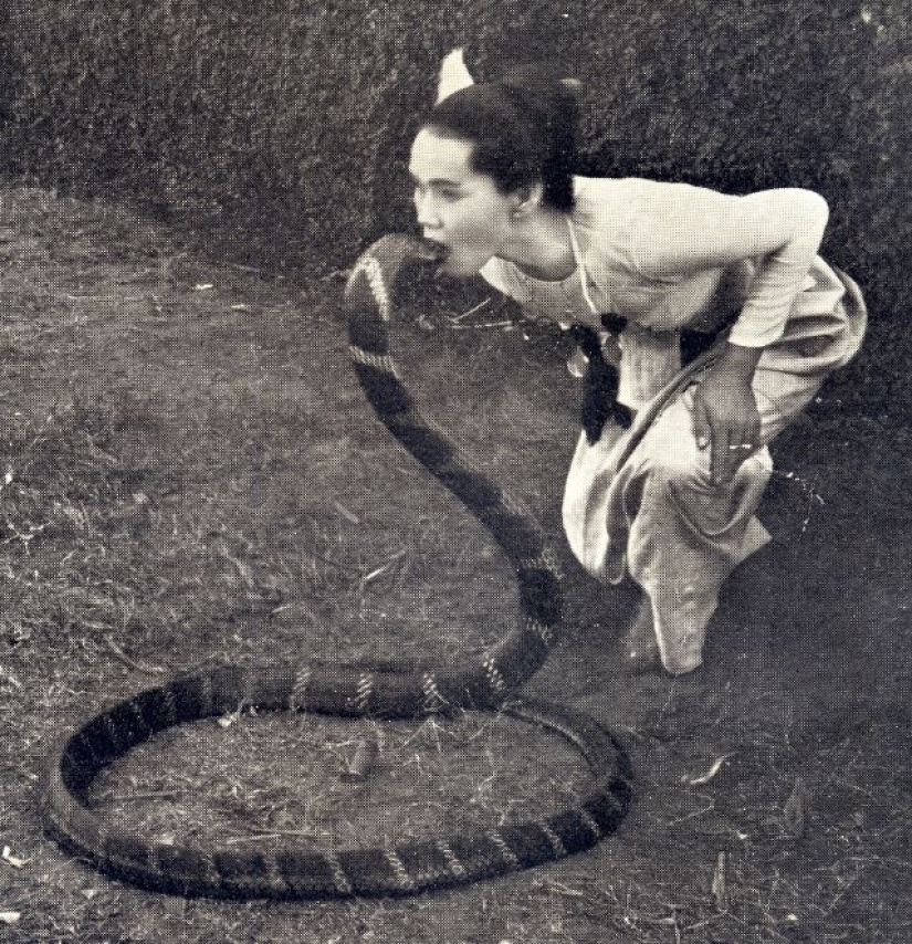 Like beasts of the nineteenth century people were friends