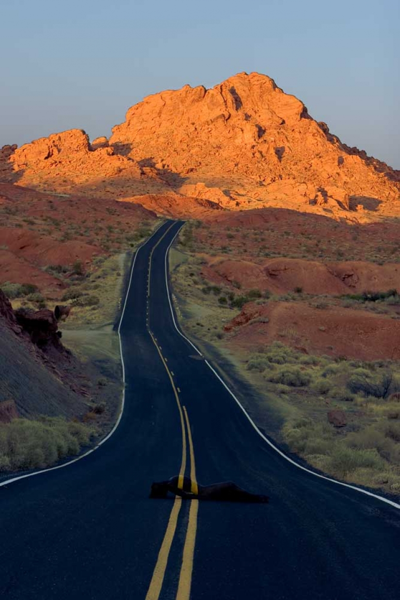 Look for the woman: naked models blend in with the scenery