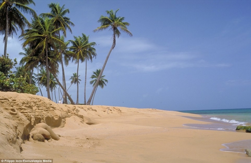 Look for the woman: naked models blend in with the scenery