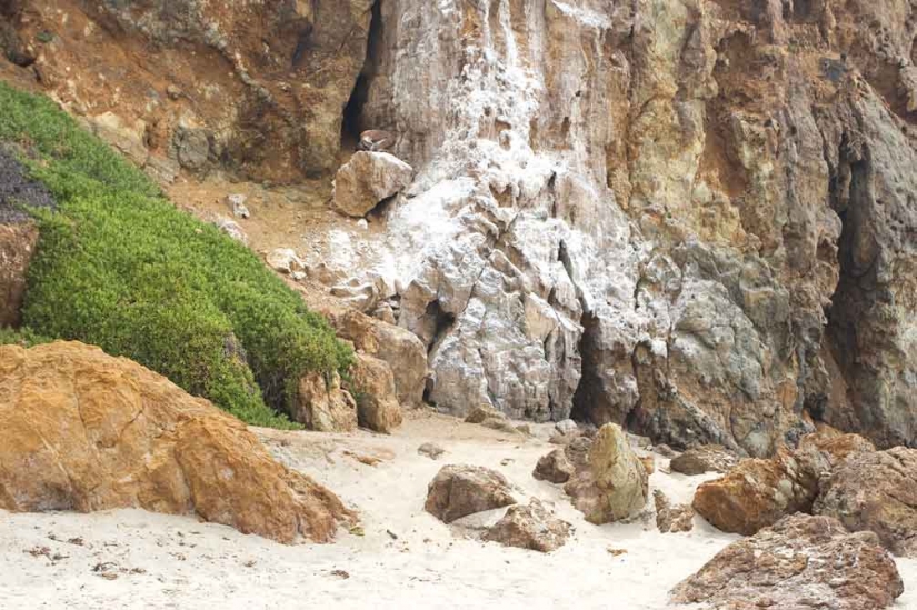 Look for the woman: naked models blend in with the scenery