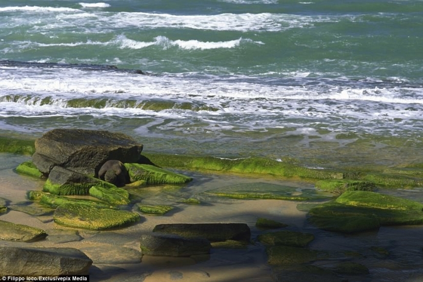 Look for the woman: naked models blend in with the scenery