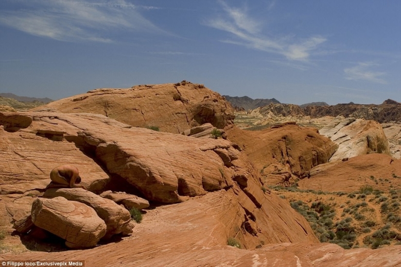 Look for the woman: naked models blend in with the scenery