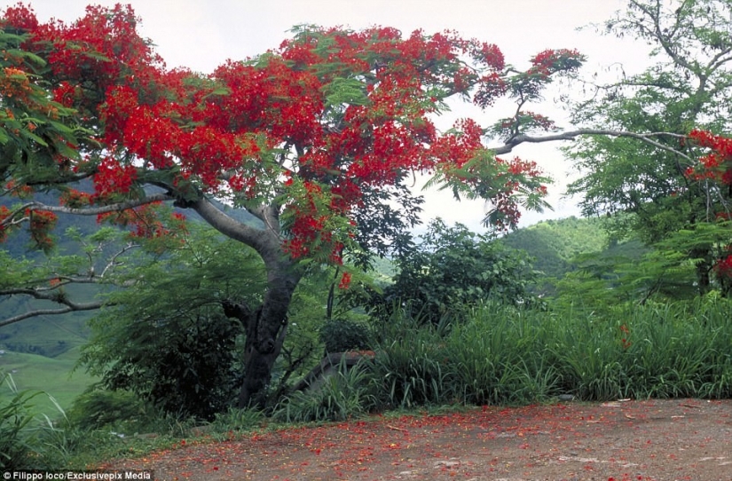 Look for the woman: naked models blend in with the scenery