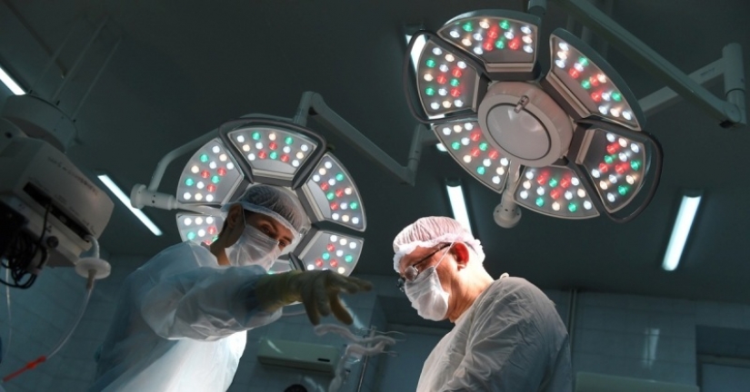 Los científicos se han restaurado los afectados los pulmones de una persona, la conexión a los cerdos Los científicos se han restaurado los afectados los pulmones de una persona, la conexión a los cerdos