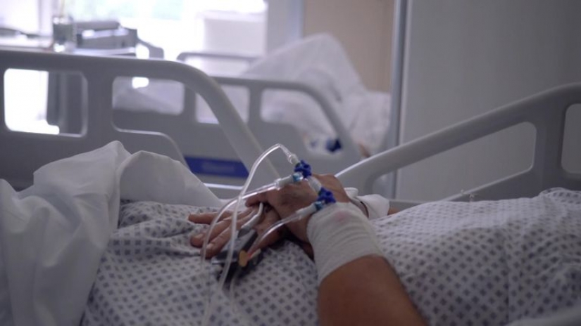 Los científicos se han restaurado los afectados los pulmones de una persona, la conexión a los cerdos Los científicos se han restaurado los afectados los pulmones de una persona, la conexión a los cerdos