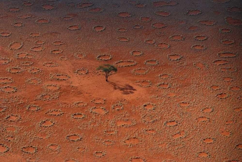 Los fenómenos naturales que son difíciles de creer Los fenómenos naturales que son difíciles de creer